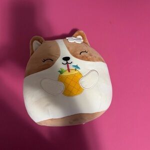 Squishmallows Tan and White Corgi with Pineapple Drink Plush
